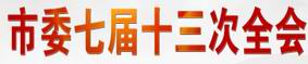 聚焦市委七屆十三次全會
