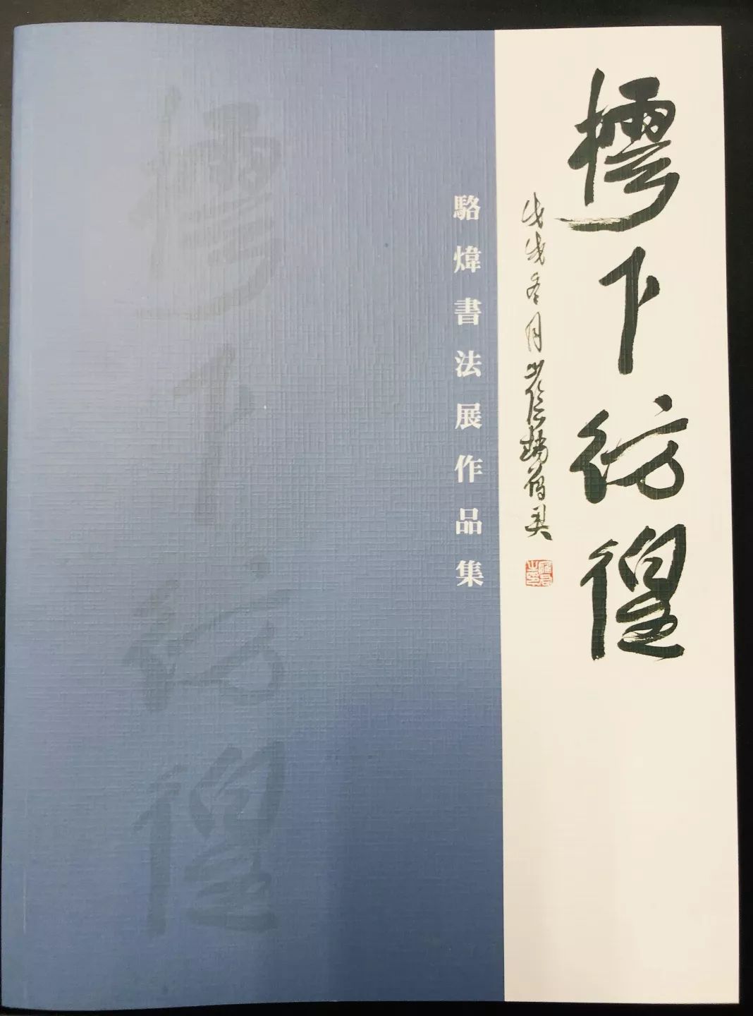 三服务活动之"城市文化阳台"樗下彷徨"骆炜